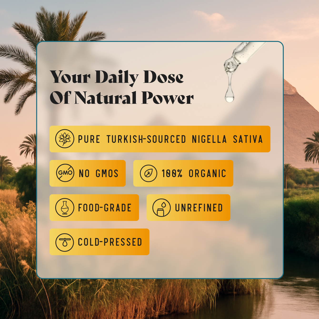 Mensana Black Seed Oil