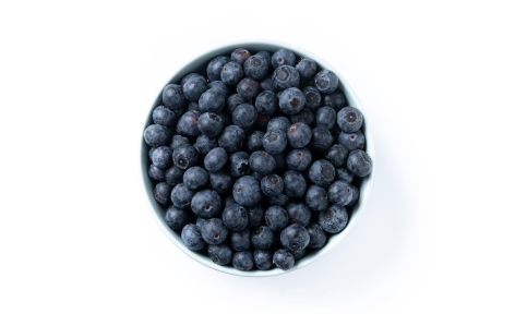 WILD BLUEBERRIES